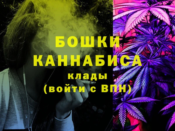 мет Дмитриев