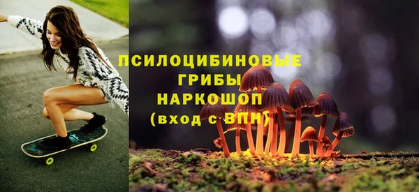 первитин Елабуга