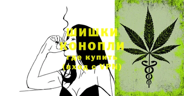 мет Дмитриев