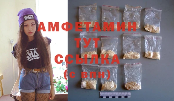 мет Дмитриев