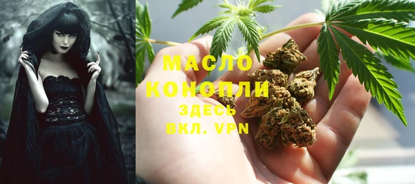 мет Дмитриев