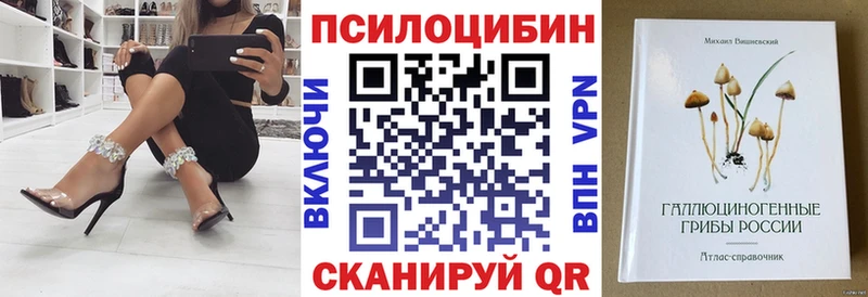 Купить  Саров  Псилоцибиновые грибы мицелий 